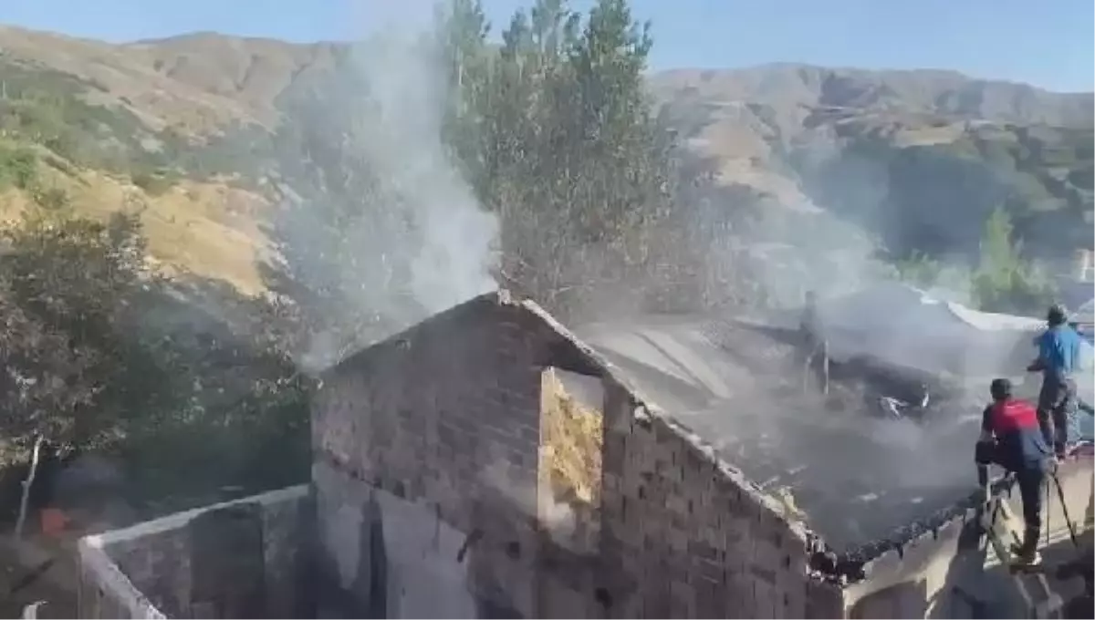 Bingöl'de ahır yangınında 2 inek öldü