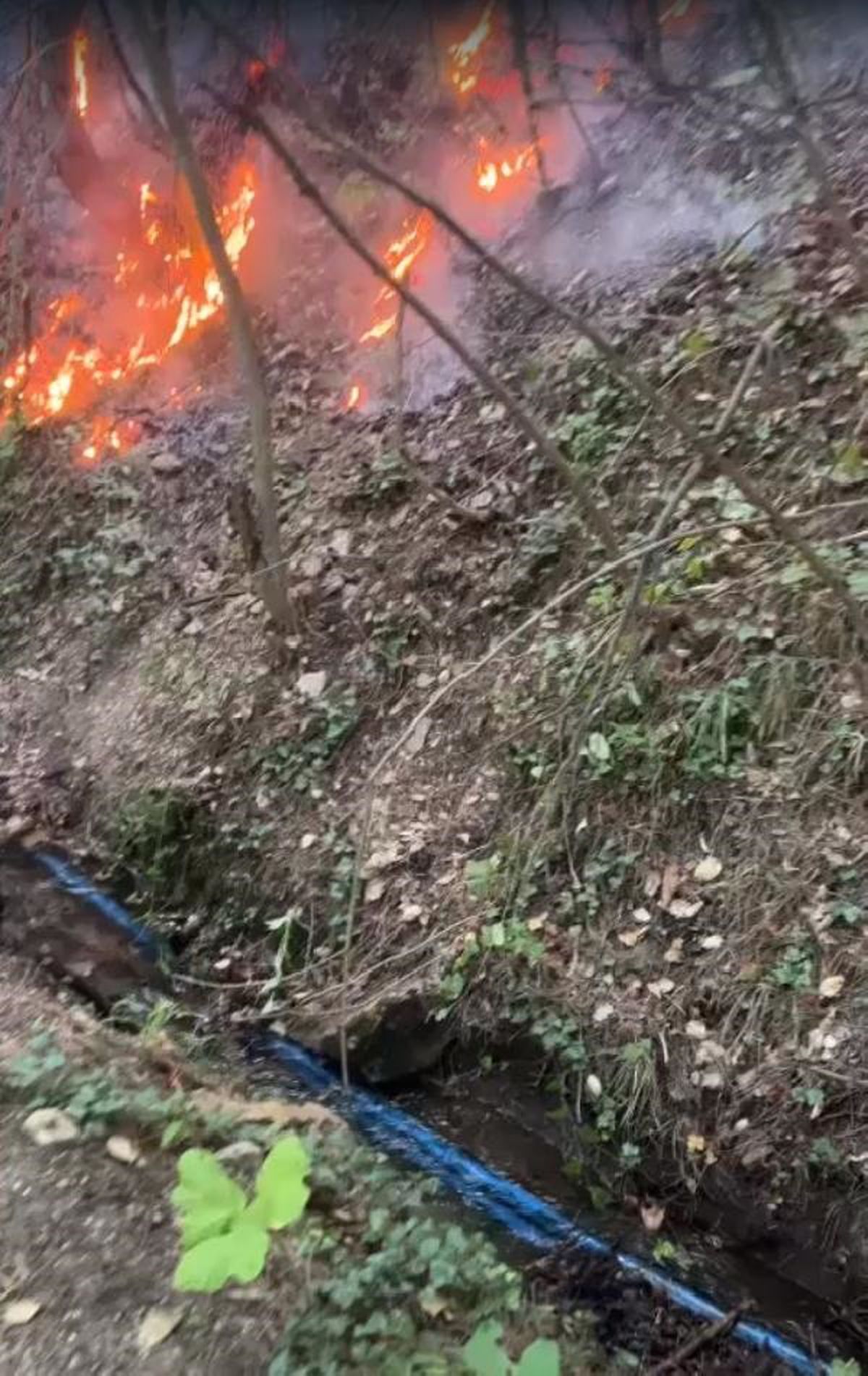 Uludağ\'ın eteklerindeki orman yangınına karadan müdahale başladı