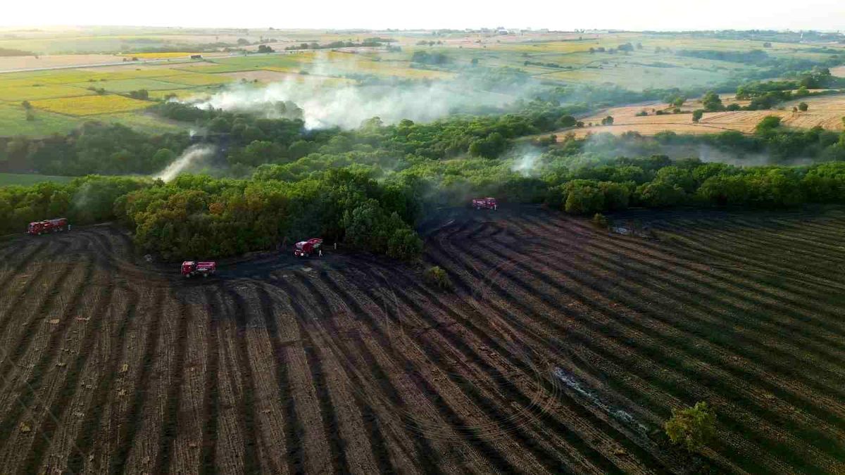 Edirne\'de çıkan orman yangını havadan görüntülendi