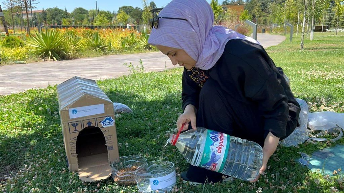Eskişehir Ülkü Ocakları, sokak hayvanları için mama ve su kapları yerleştirdi