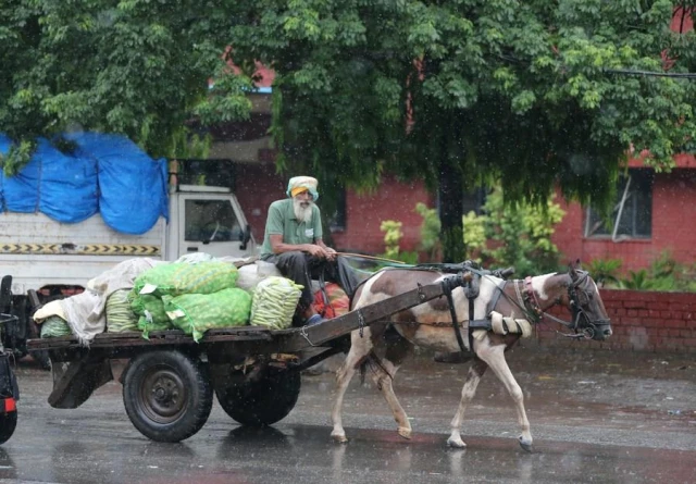 Hindistan ve Pakistan'da Muson Yağmurları Hayatı Olumsuz Etkiledi