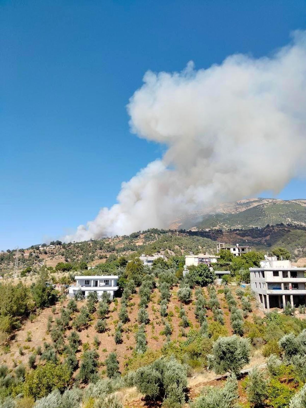 Kahramanmaraş\'ta Ormanlık Alanda Çıkan Yangına Ekiplerin Müdahalesi Sürüyor