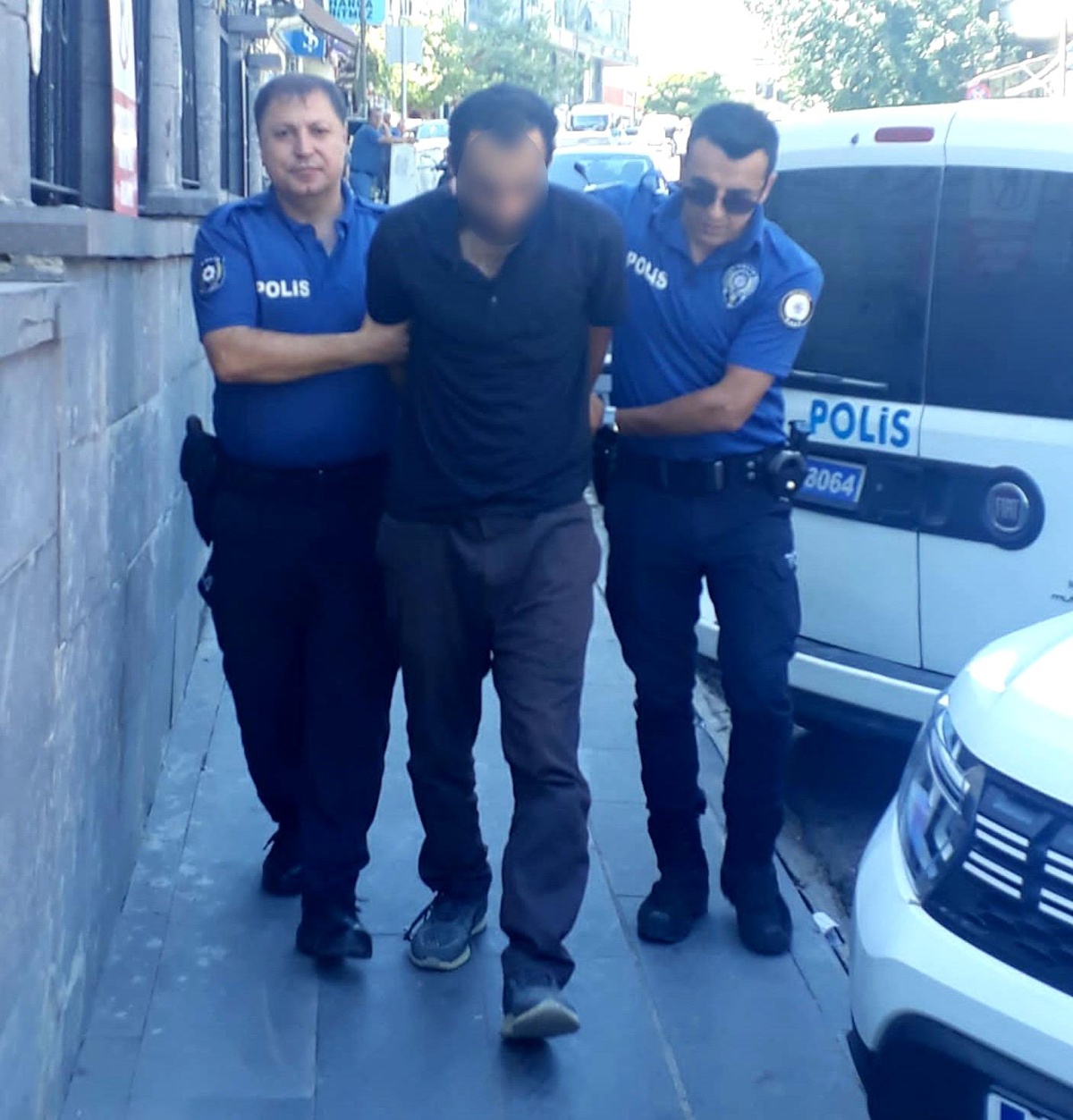 Adıyaman\'da 4 kediyi bıçaklayarak öldüren şahıs tutuklandı