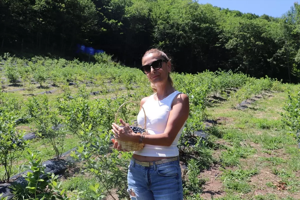 Kocaeli\'de Girişimci Kuzenlerden Kendin Topla Kendin Ye Deneyimi