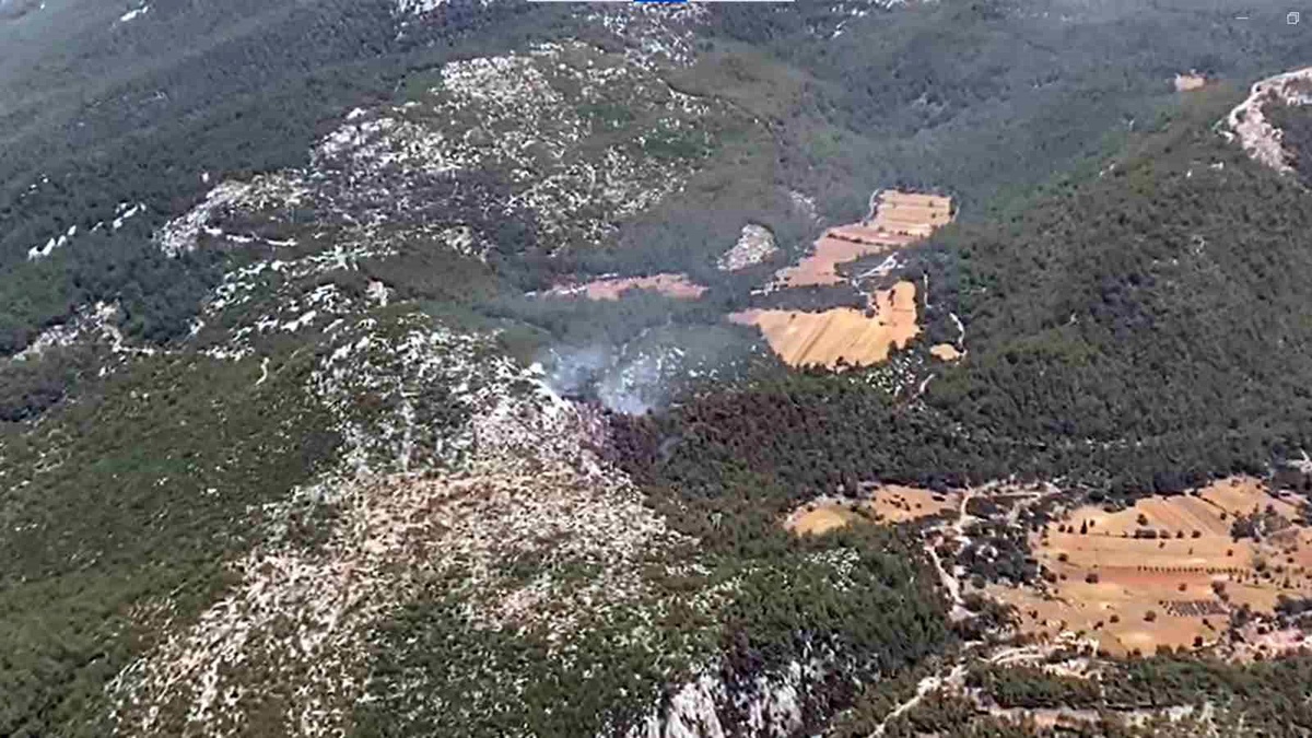 Muğla\'da orman yangını kontrol altına alındı