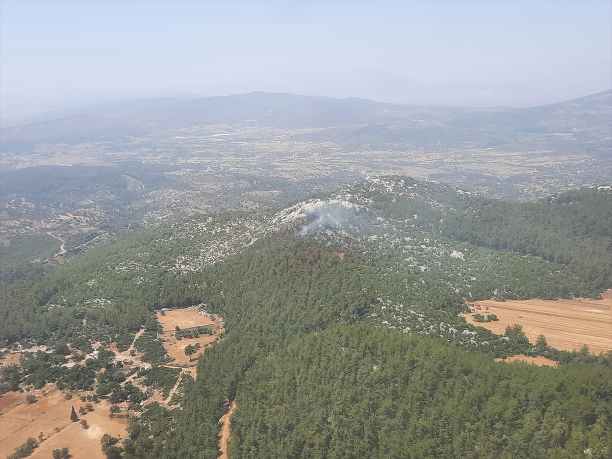 Muğla\'da çıkan orman yangını kontrol altına alındı