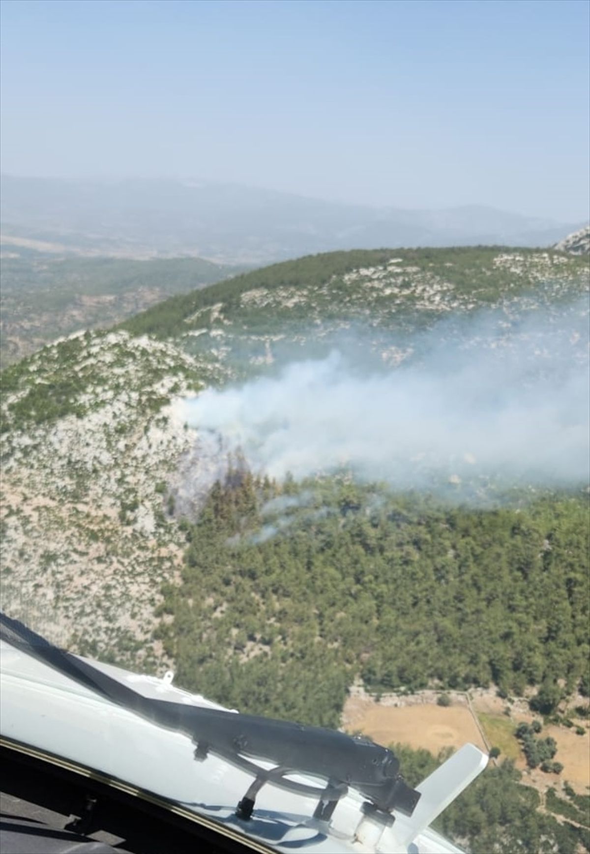 Muğla\'nın Milas ilçesinde orman yangını çıktı