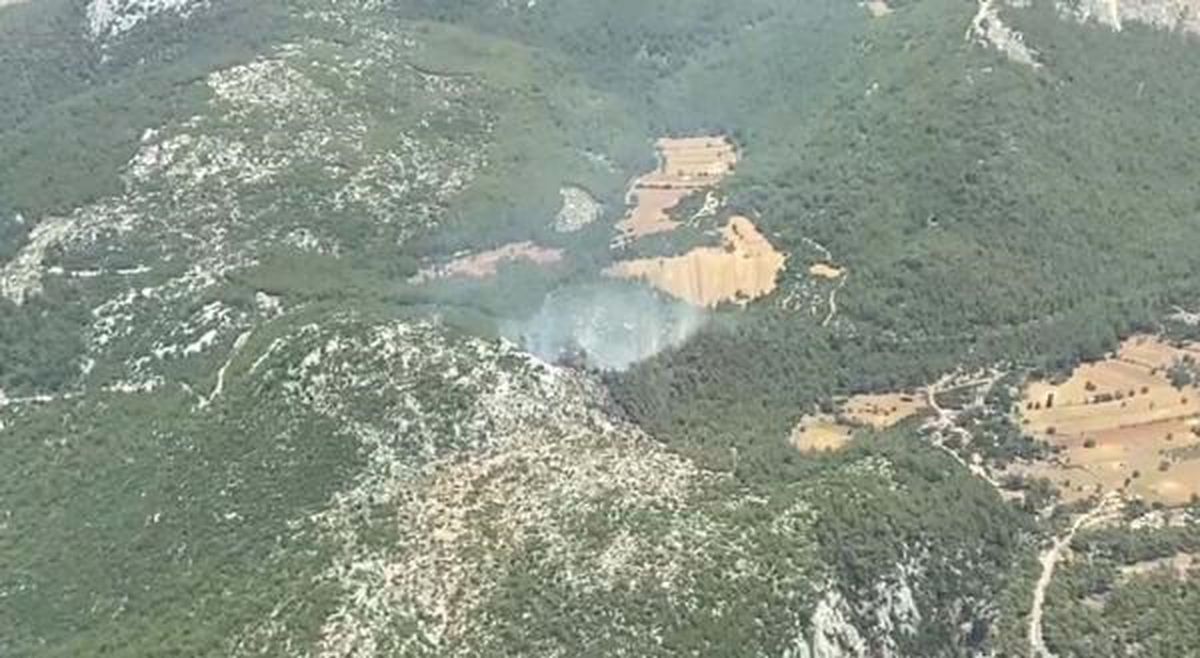 Muğla\'da orman yangını (2)