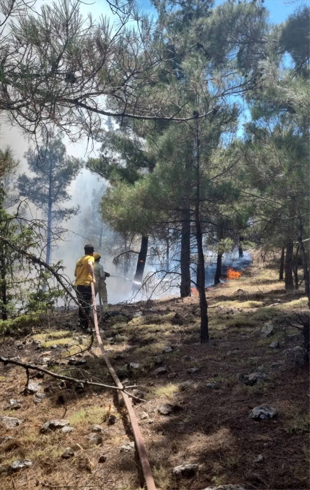 Hasanbeyli\'deki Orman Yangını Kontrol Altına Alındı