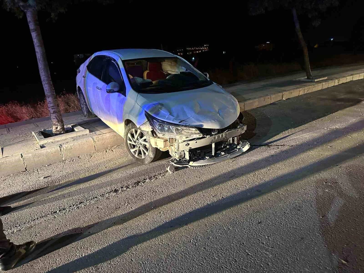 Elazığ\'da otomobil ağaca çarptı: 1 yaralı