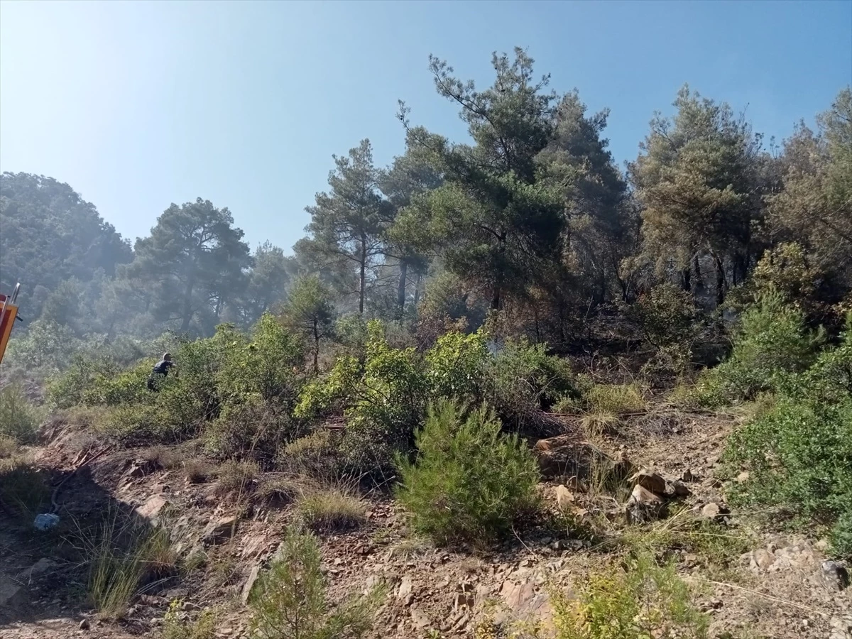 Sakarya\'nın Taraklı ilçesinde orman yangını: Yaklaşık 1 hektarlık alan zarar gördü