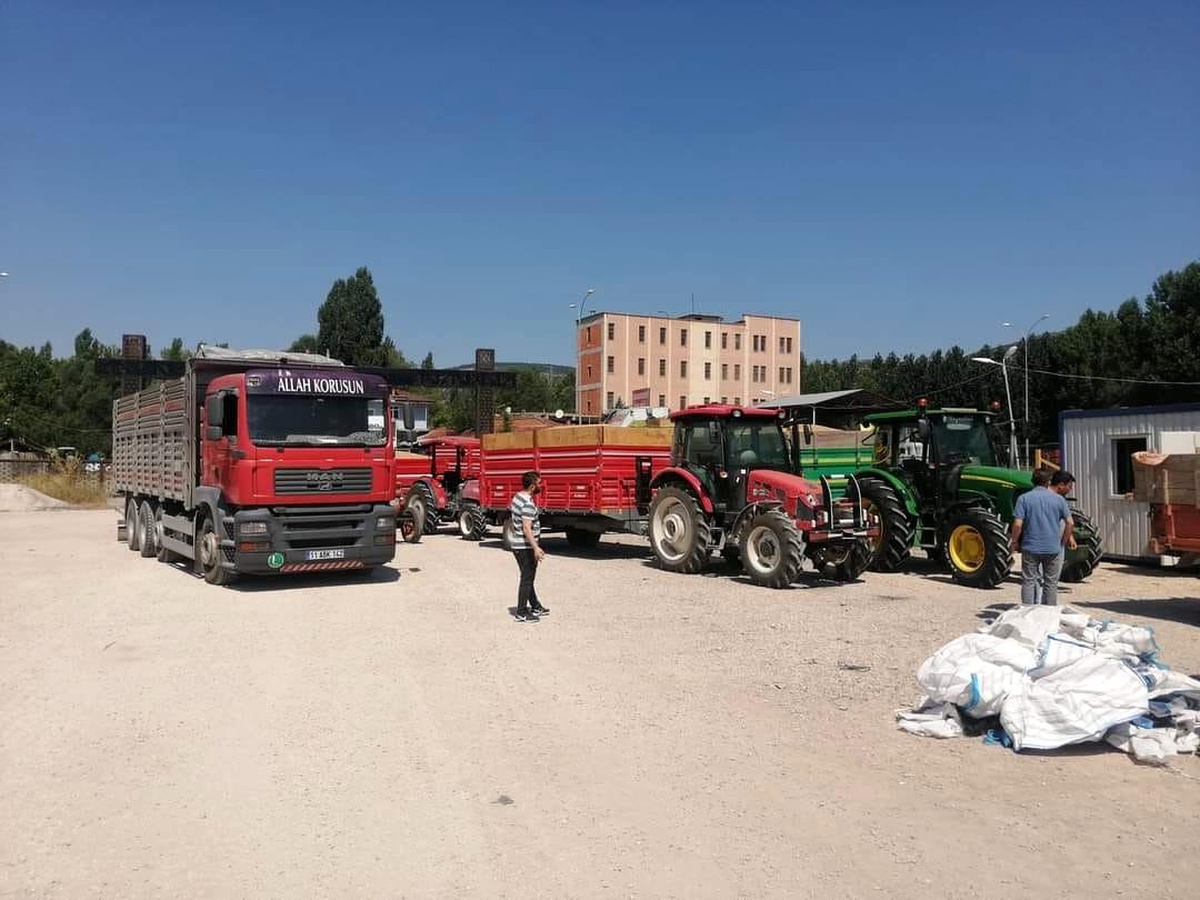 Gölpazarı\'nda TMO Hububat Alımı Başladı