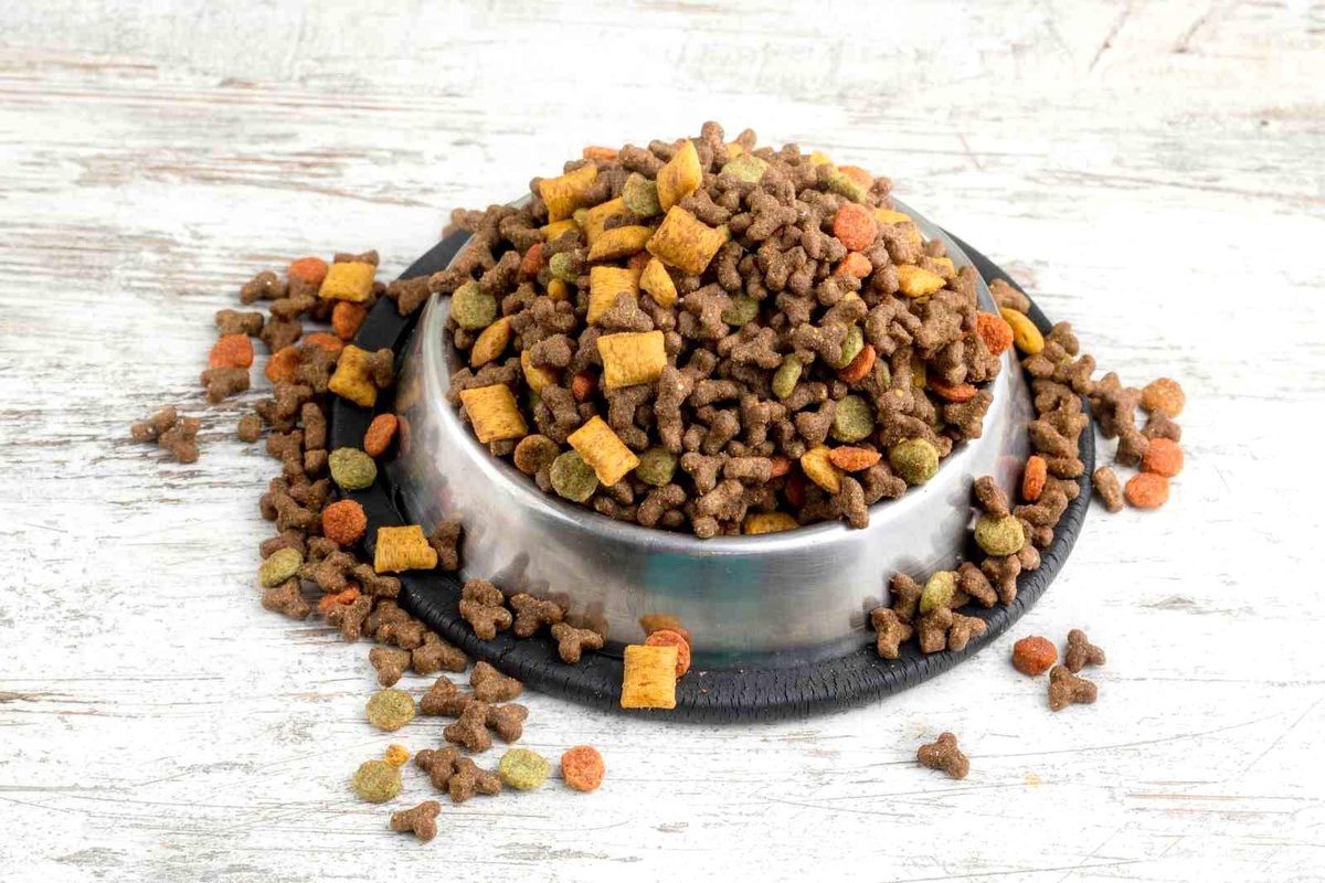 Türkiye\'nin Kedi-Köpek Maması İhracatı Yüzde 64 Arttı
