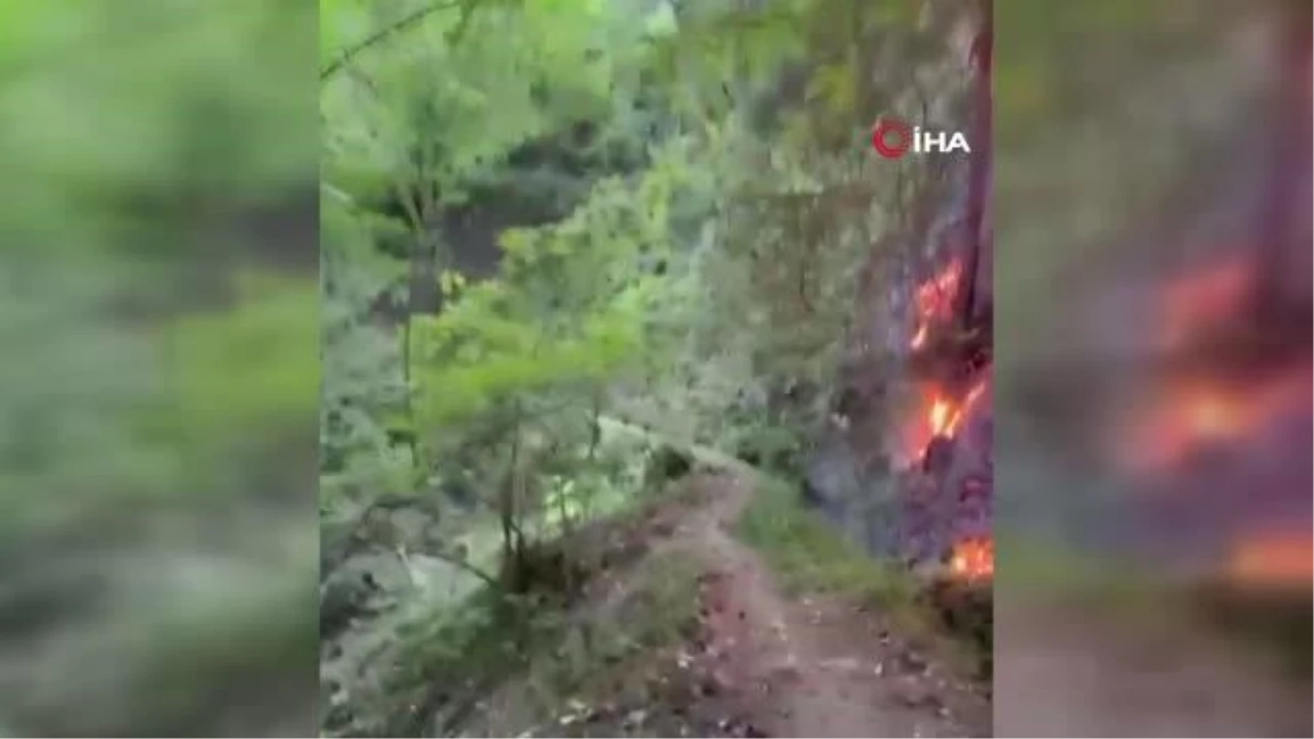 Uludağ\'ın eteklerinde orman yangını: Havadan ve karadan müdahale devam ediyor