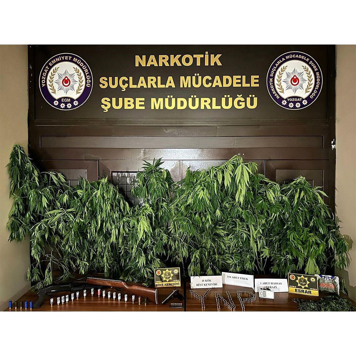 Yozgat\'ta Uyuşturucu Madde Üreten Şahıs Tutuklandı