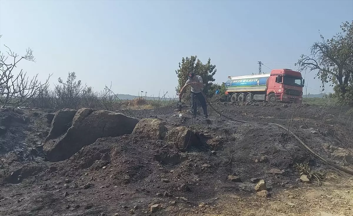 Alanya\'da çalılık alanda çıkan yangın kontrol altına alındı