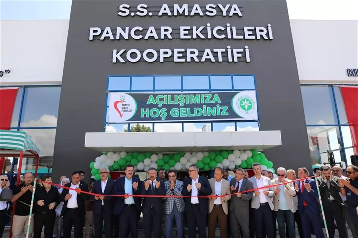 Amasya Şeker Fabrikası Üreticilere 400 Milyon Lira Avans Ödemesi Yaptı