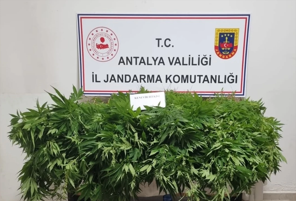 Antalya\'da Uyuşturucu Operasyonunda 1 Şüpheli Tutuklandı