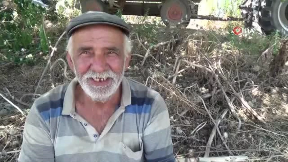 Aydın Ovası\'nda çiftçilerin 44 derece sıcakta ekmek mücadelesi