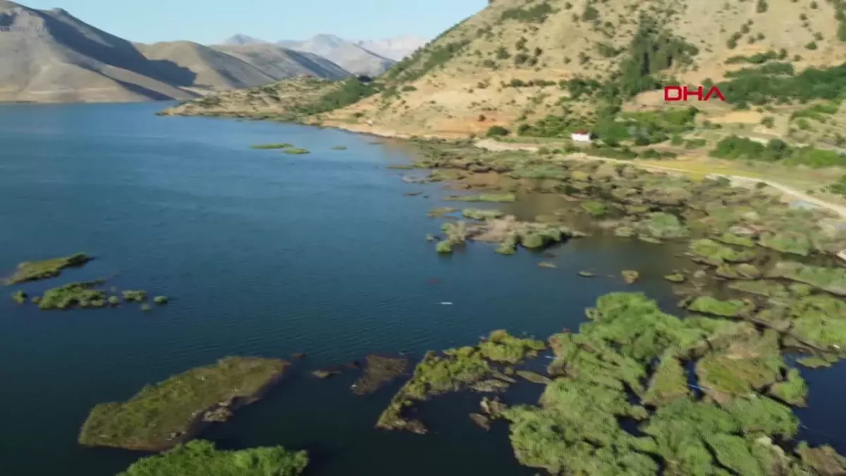 Çat Baraj Gölü\'ndeki Yüzen Adalar Sabit Hale Getirildi