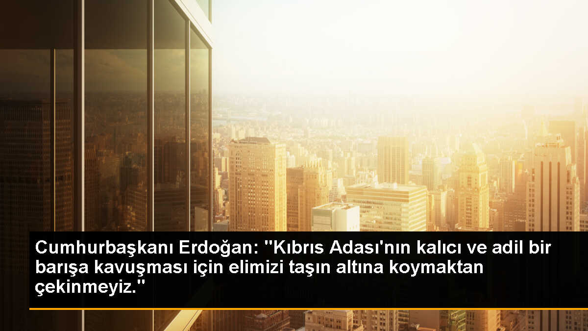 Cumhurbaşkanı Erdoğan: "Kıbrıs Adası\'nın kalıcı ve adil bir barışa kavuşması için elimizi taşın altına koymaktan çekinmeyiz."