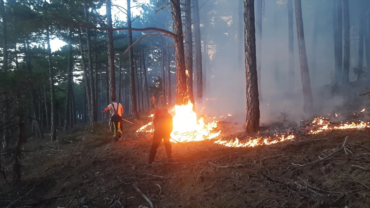 Denizli\'nin Tavas ilçesinde çıkan orman yangını kontrol altına alındı