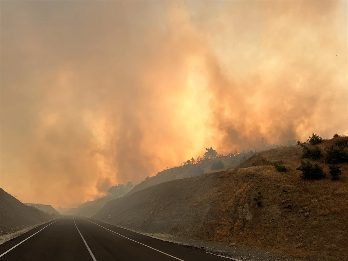 Kahramanmaraş\'ta Orman Yangını: Havadan ve Karadan Müdahale Ediliyor