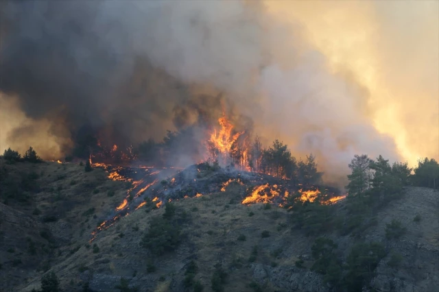 Kahramanmaraş'ta Orman Yangını: Havadan ve Karadan Müdahale Devam Ediyor