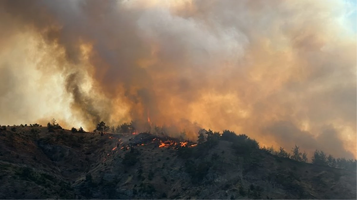 Kahramanmaraş\'ta Orman Yangını: Havadan ve Karadan Müdahale Ediliyor
