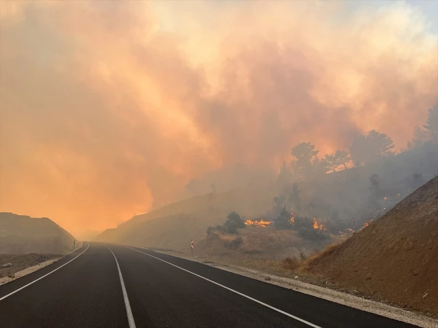 Kahramanmaraş'ta orman yangını! Bazı evler tahliye edildi, 20 hektarlık alan kül oldu