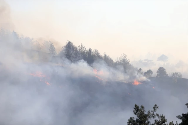 Kahramanmaraş'ta orman yangını! Bazı evler tahliye edildi, 20 hektarlık alan kül oldu
