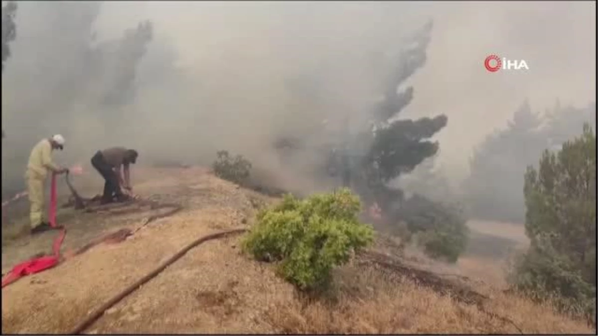 Kahramanmaraş\'ta orman yangınına müdahale sürüyor