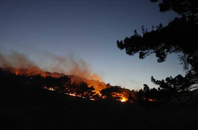 Kahramanmaraş'ta orman yanına müdahaleler sürüyor Kahramanmaraş'ta orman yanına müdahaleler sürüyor