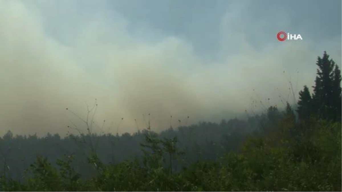 Manisa\'da orman yangını: Birçok ev yandı, vatandaşlar tahliye ediliyor