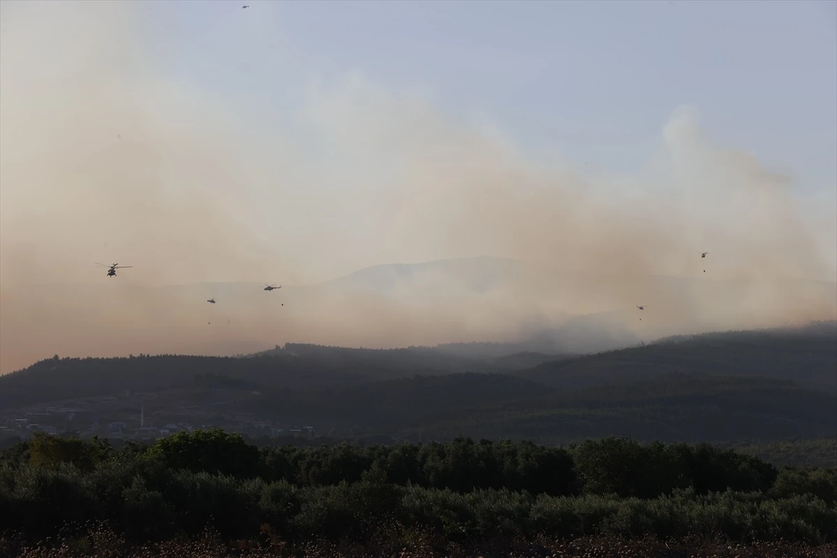 Manisa Saruhanlı\'da Orman Yangını: Havadan ve Karadan Müdahale Ediliyor