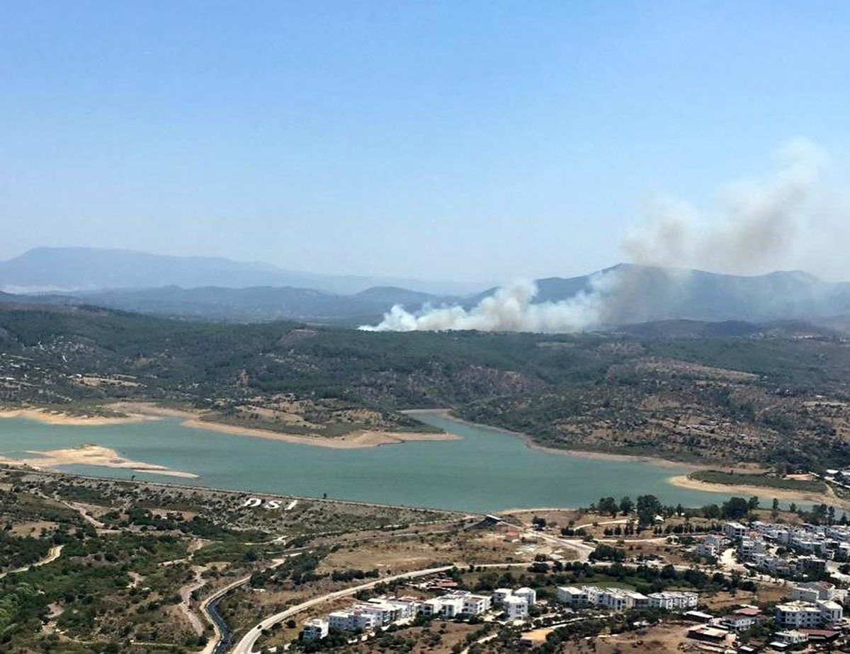Muğla\'nın Milas ilçesinde orman yangını