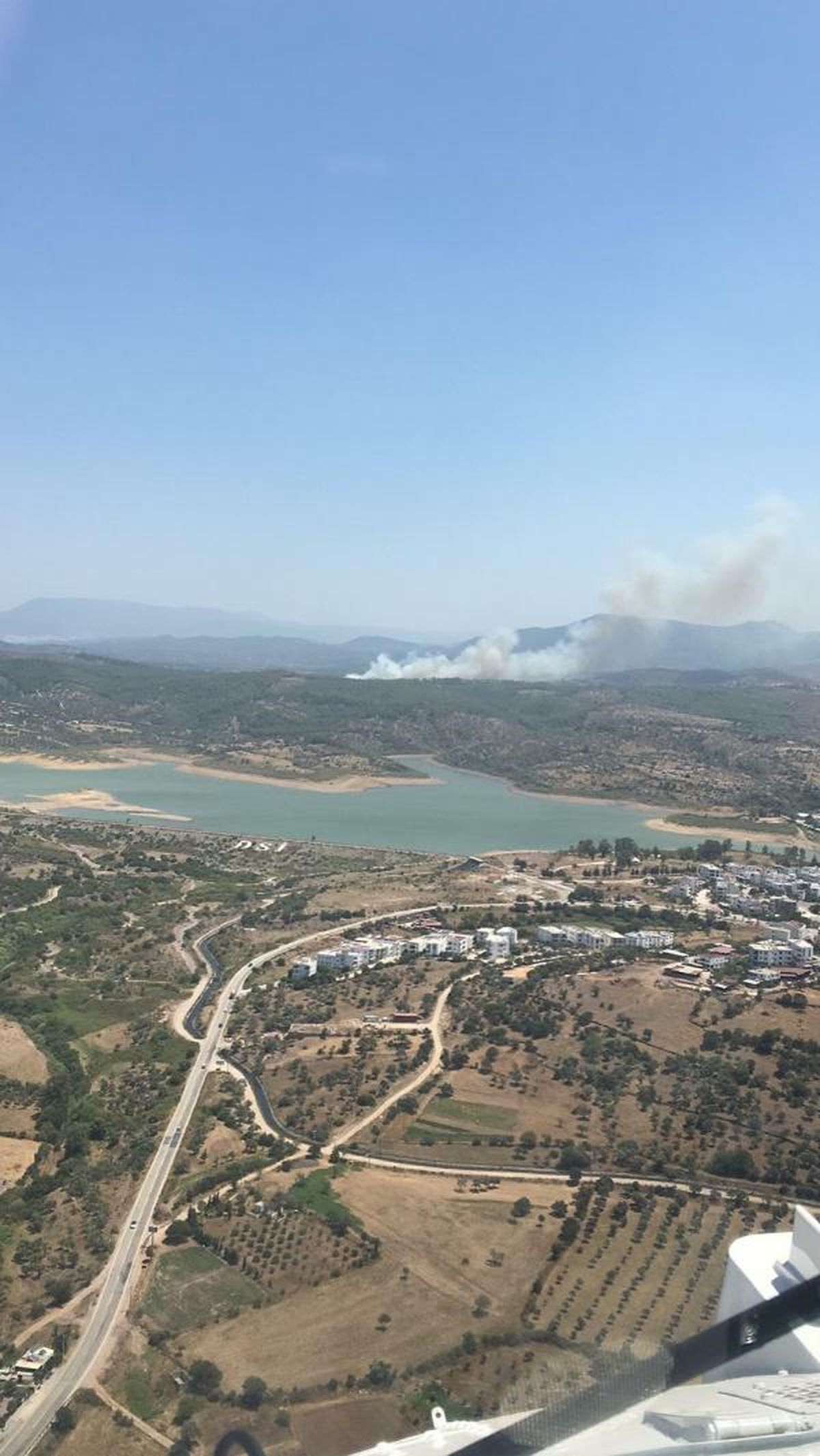 Milas\'ta orman yangını