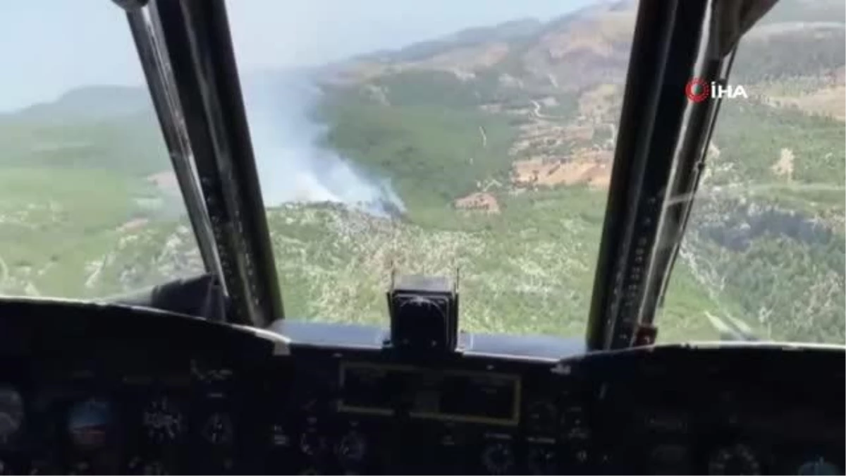 Milas\'ta orman yangını, ekipler havadan ve karadan müdahale ediyor