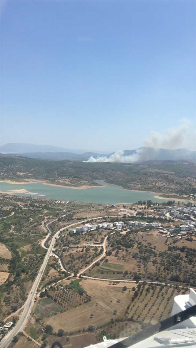 Muğla'nın Milas ilçesinde orman yangını çıktı