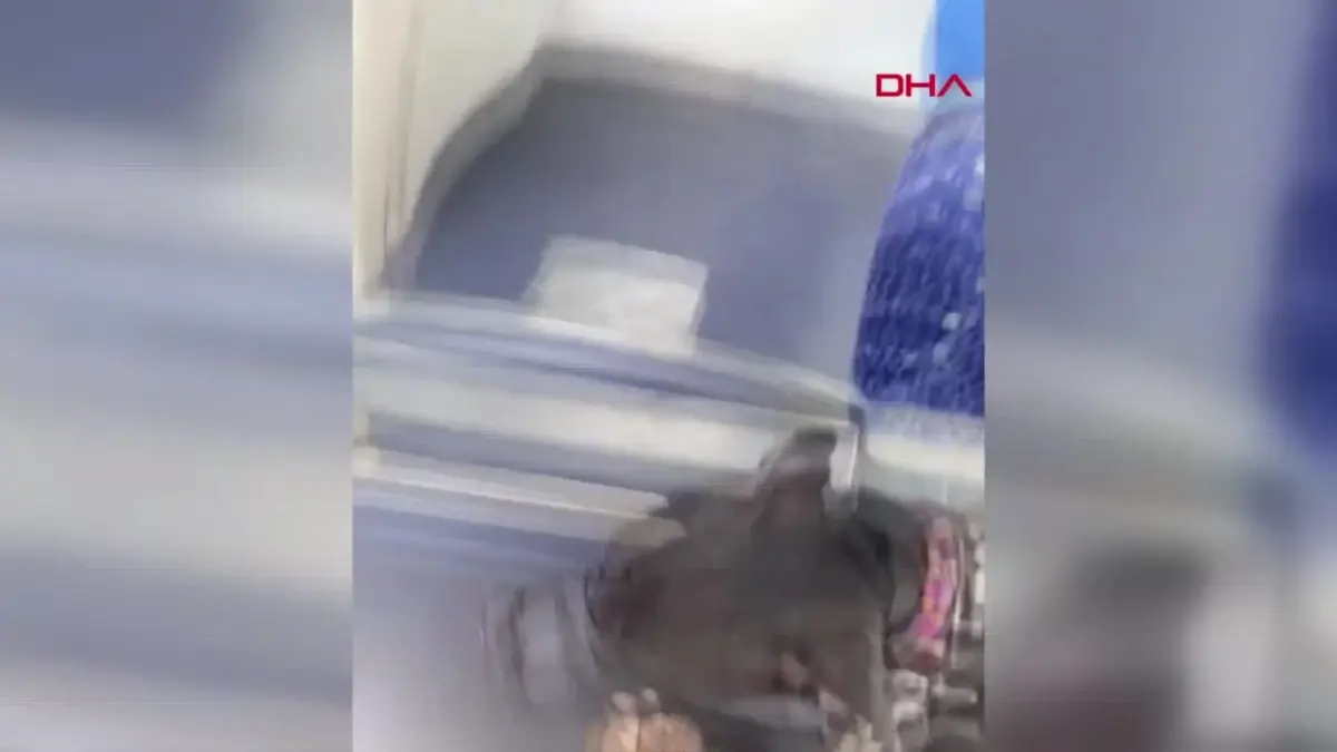 Köpeğiyle Otobüse Binmek İsteyen Kadın Şoför Tarafından Otobüsten İndirildi