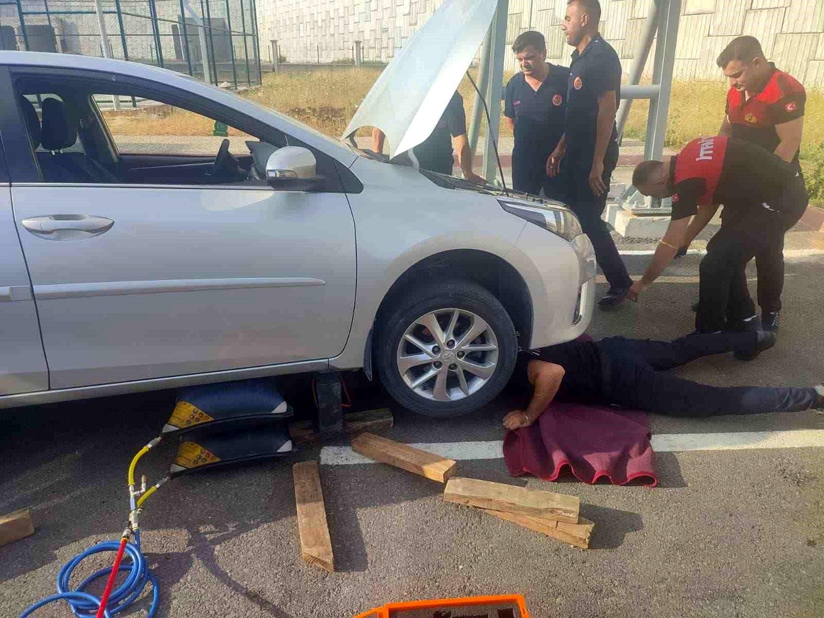 Çankırı\'da Otomobilin Motor Kısmına Sıkışan 3 Yavru Kedi Kurtarıldı