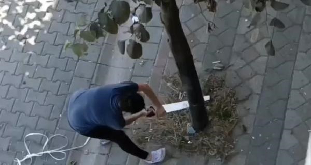 Sultangazi\'de Kadın Kaldırımdaki Ağacı Kesmeye Çalıştı