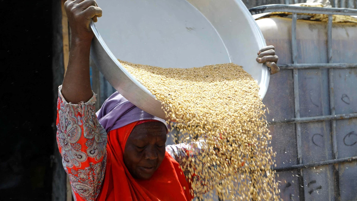 Rusya\'nın Ukrayna Tahıl Anlaşmasından Çekilmesi Afrika\'da Gıda Sorununa Neden Olabilir