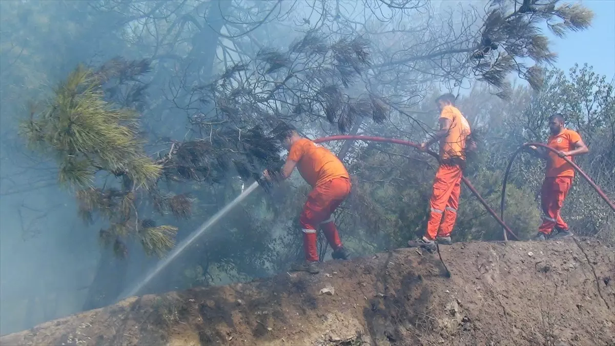 Sakarya\'nın Taraklı ilçesinde orman yangını