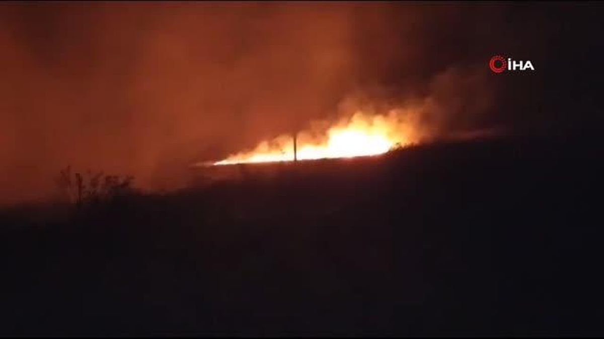 Uzunköprü'de Ormanlık alanda korkutan yangın