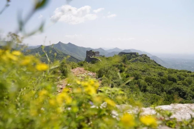 Yeşiller İçindeki Çin Seddi'nin Muhteşem Manzarası