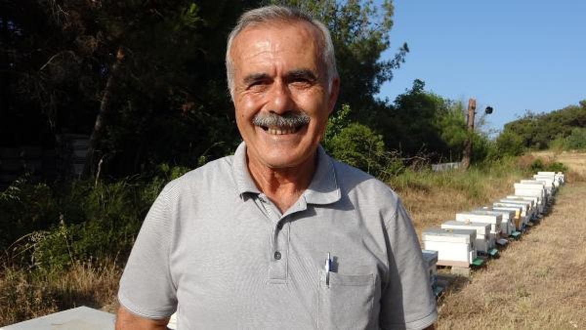 Yüksek Sıcaklıklar Arı Popülasyonunu Düşürüyor