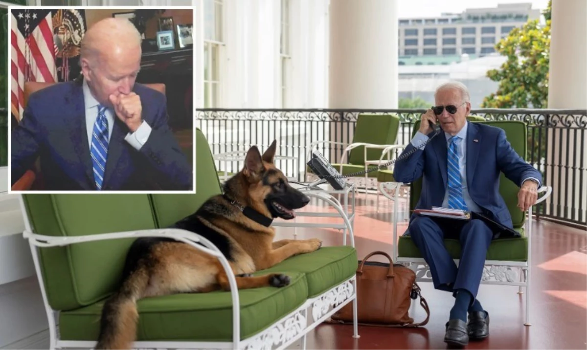 ABD Başkanı Biden\'ın köpeği Commander, bir gizli servis elemanın hastanelik etti, altı kişiyi daha ısırdı
