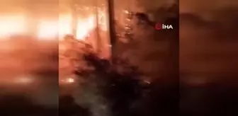 Antalya'da orman yangını Ekipler Kemer'deki yangının yayılmaması için mücadele ediyor