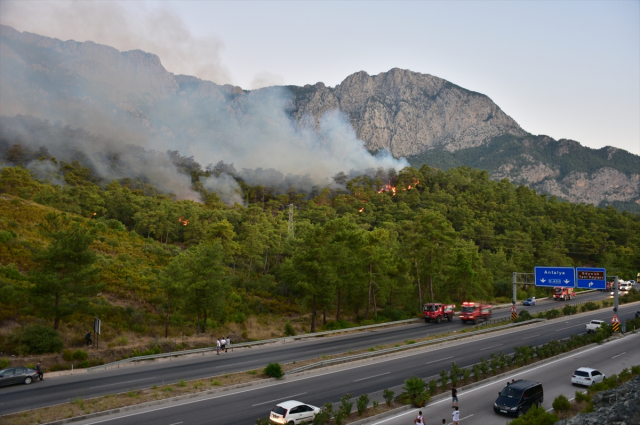 Antalya'daki orman yangınında hastane ve evler tahliye edildi